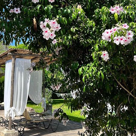 Masseria Casina Montana Corigliano d'Otranto Ngoại thất bức ảnh