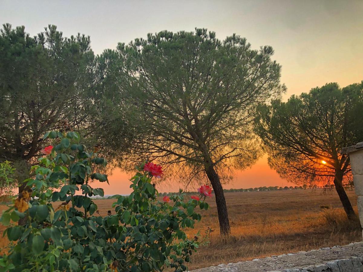 Masseria Casina Montana Corigliano d'Otranto Ngoại thất bức ảnh