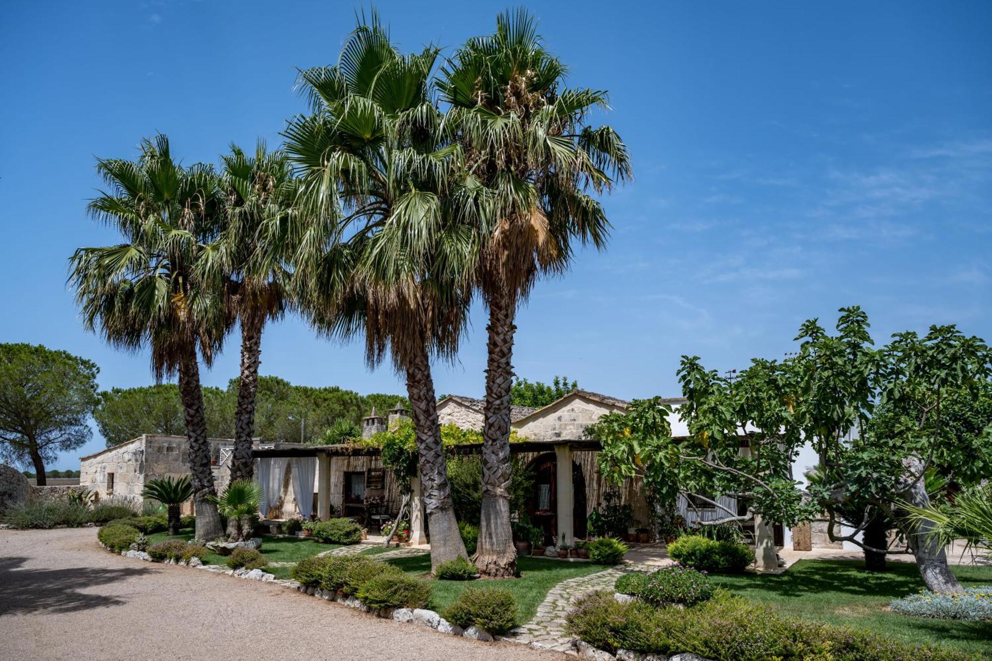 Masseria Casina Montana Corigliano d'Otranto Ngoại thất bức ảnh
