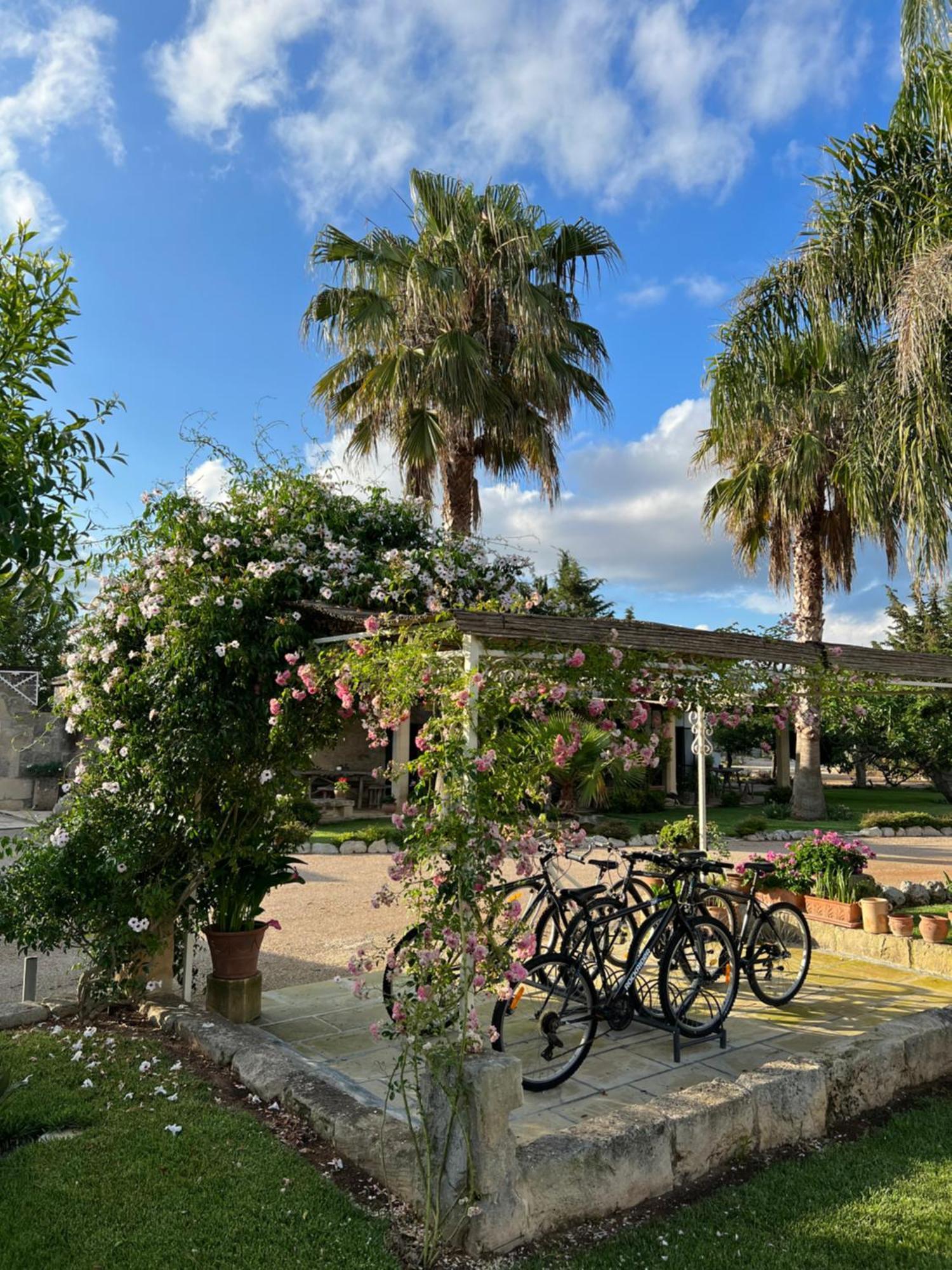 Masseria Casina Montana Corigliano d'Otranto Ngoại thất bức ảnh