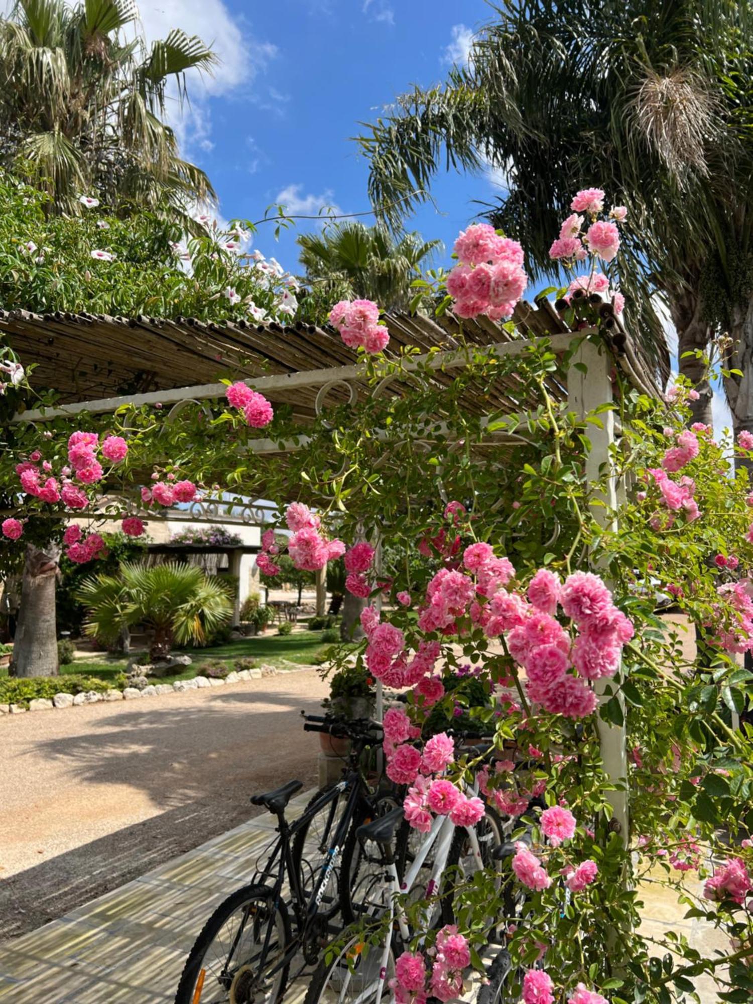 Masseria Casina Montana Corigliano d'Otranto Ngoại thất bức ảnh
