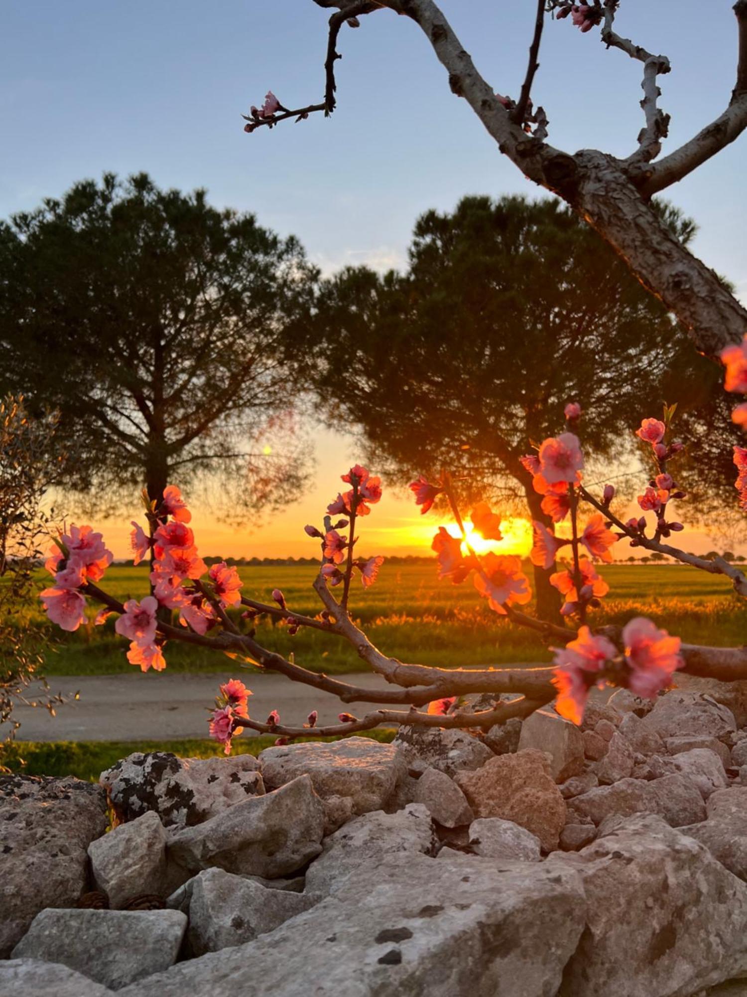 Masseria Casina Montana Corigliano d'Otranto Ngoại thất bức ảnh