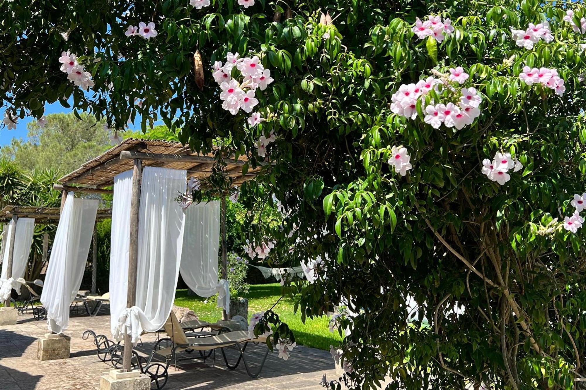 Masseria Casina Montana Corigliano d'Otranto Ngoại thất bức ảnh